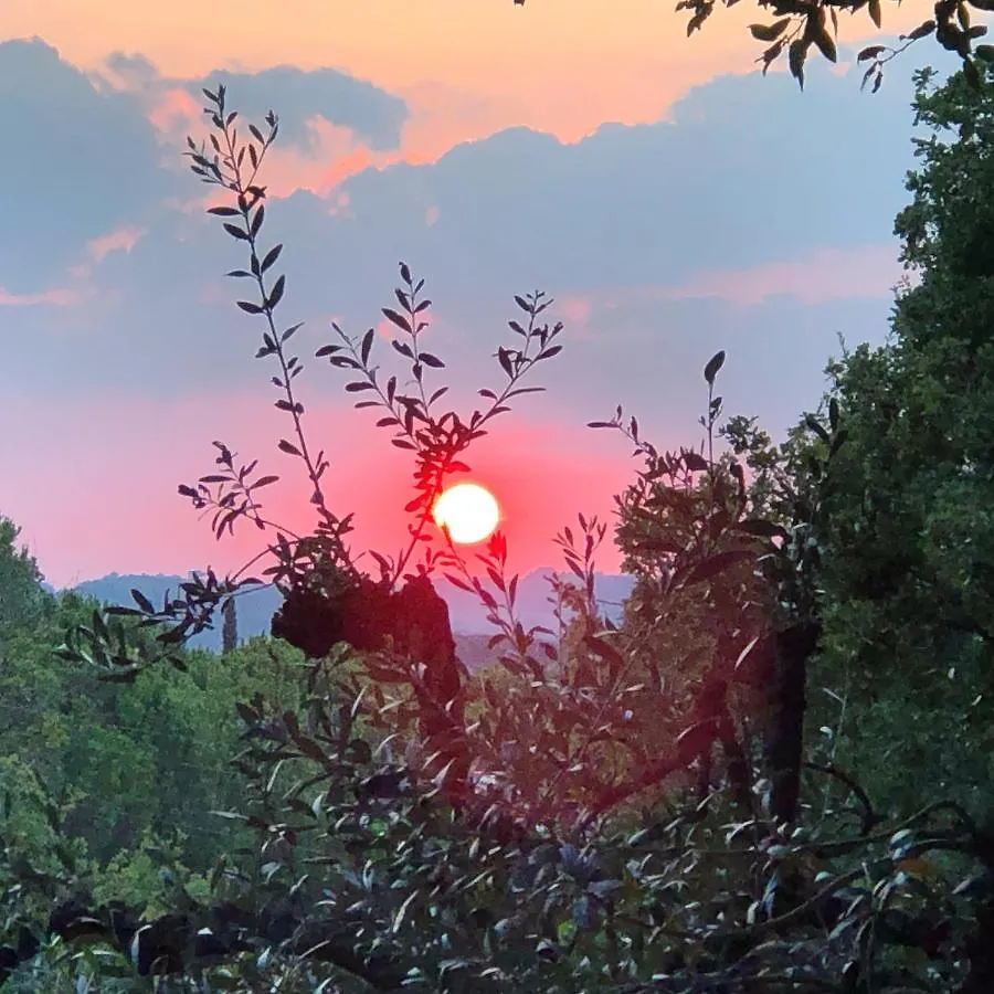 Holiday home Didi House Villa Montepulciano