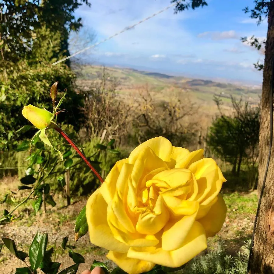 Didi House Villa Montepulciano